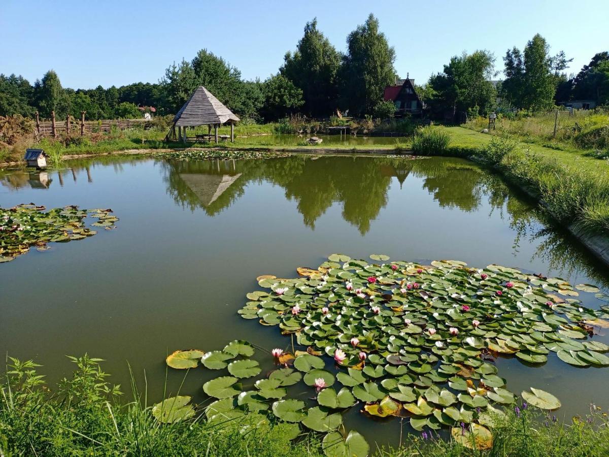 U Janusza Farm stay *