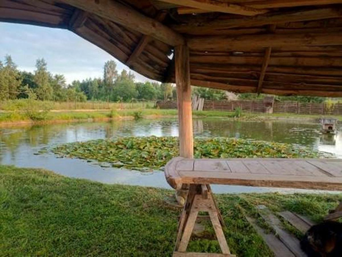U Janusza * Zalesie (Grodzisk Mazowiecki)