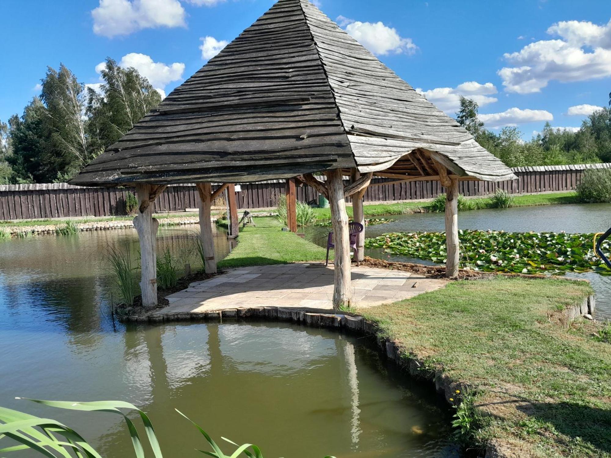U Janusza Farm stay Zalesie (Grodzisk Mazowiecki)